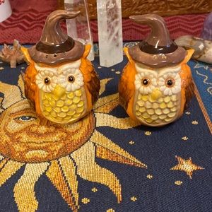 Cracker Barrel Witch Owl Salt and Pepper Shaker set